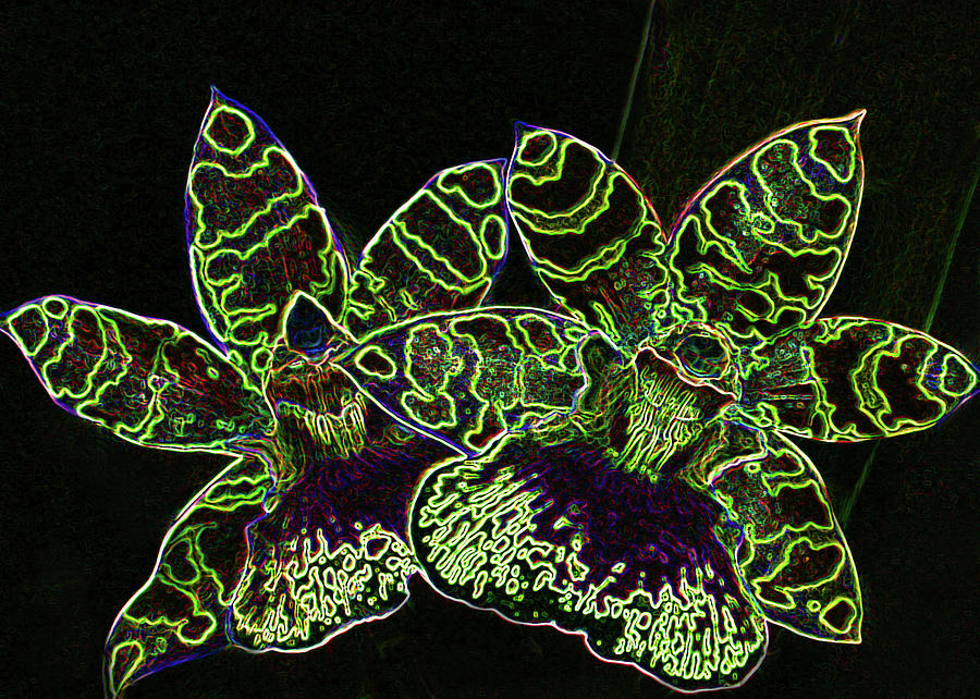 Orchids - Deep Green Glow Digital Art by Kerri Ligatich
