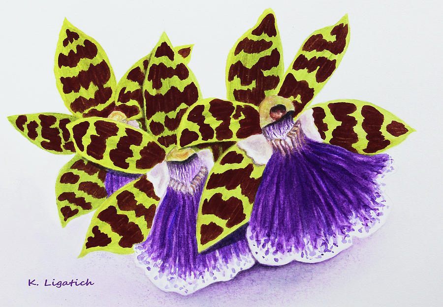 Orchids - Jumping Jacks Painting by Kerri Ligatich