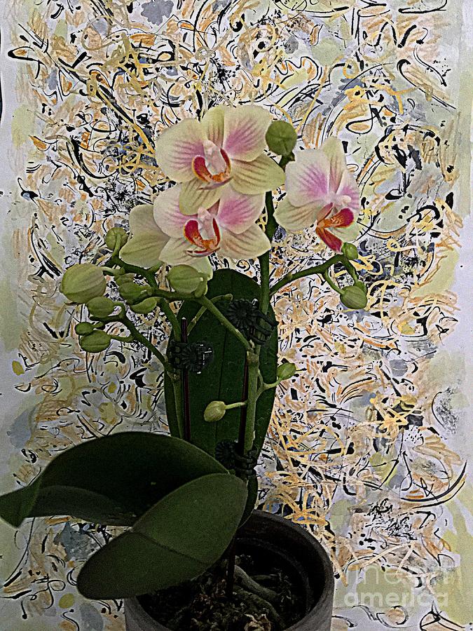 Orchids and Art Photograph by Nancy Kane Chapman