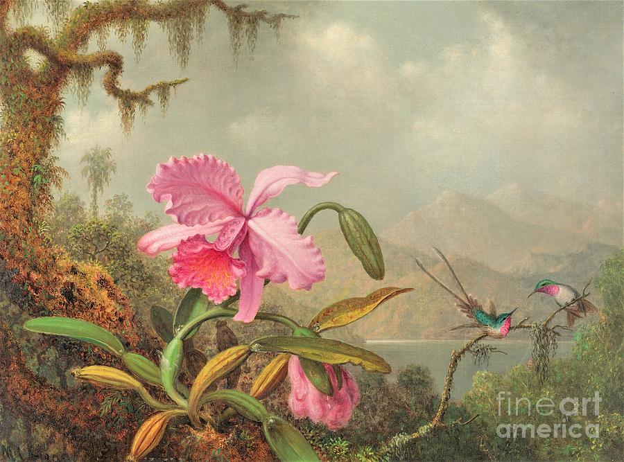 Bird Painting - Orchids and hummingbirds by Thea Recuerdo