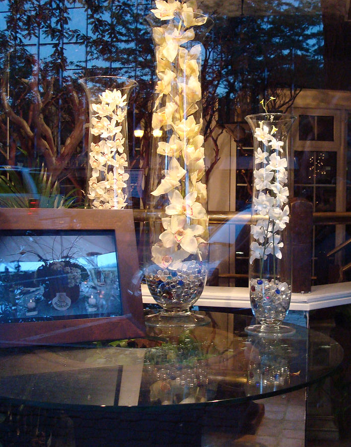 Orchids Behind Glass Photograph by B Rossitto