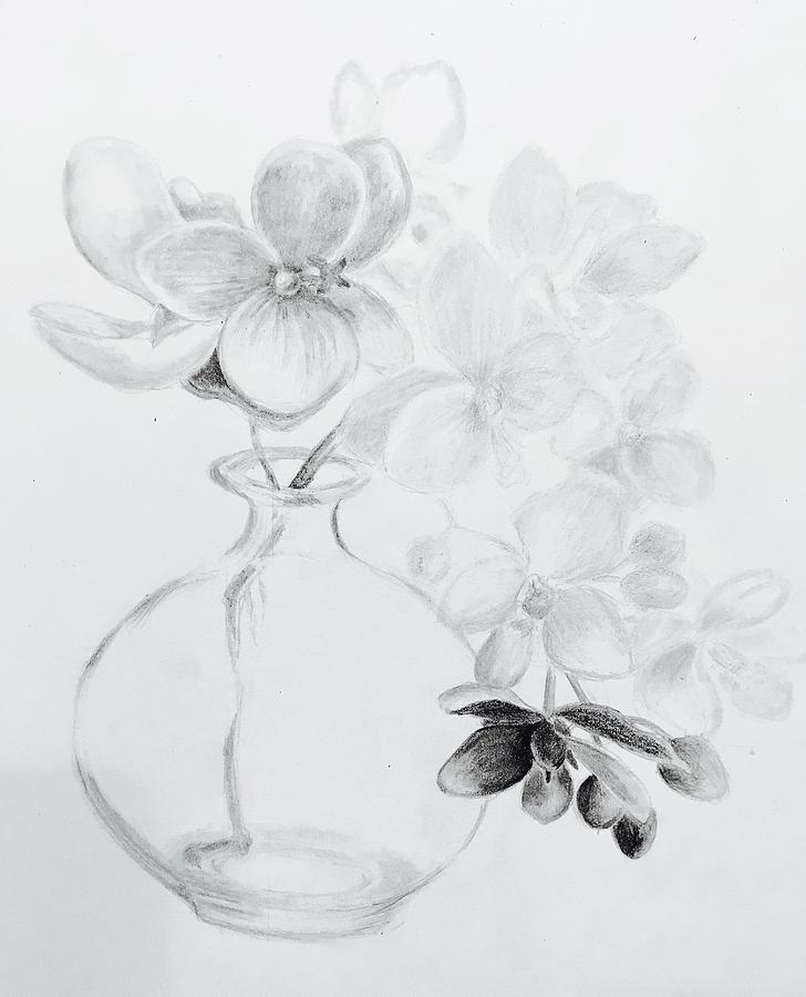 Orchids  Drawing by Ella Boughton