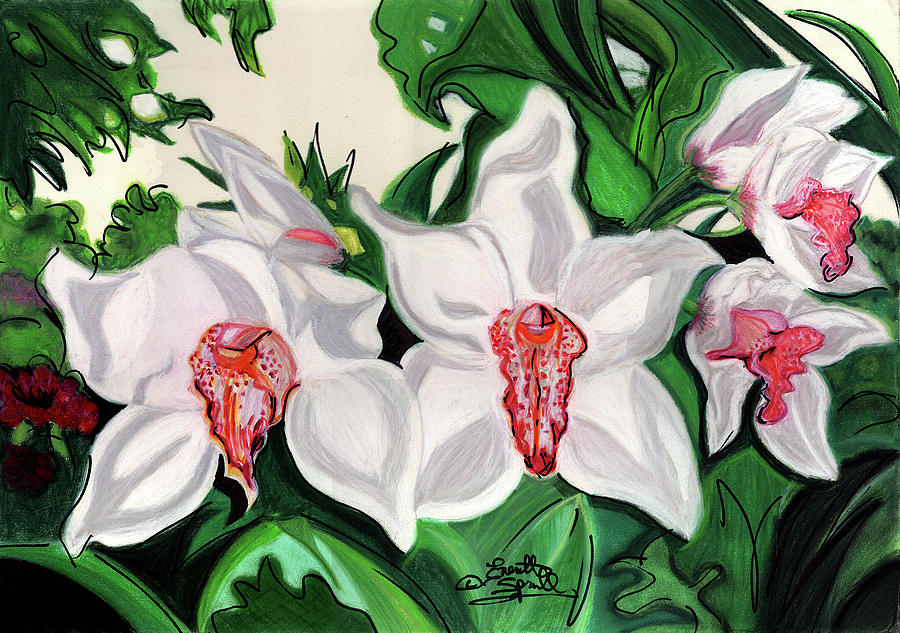 Orchids Pastel by Everett Spruill