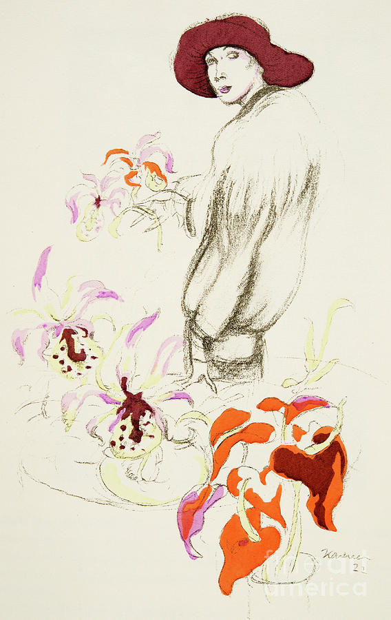 Orchids Drawing by German School