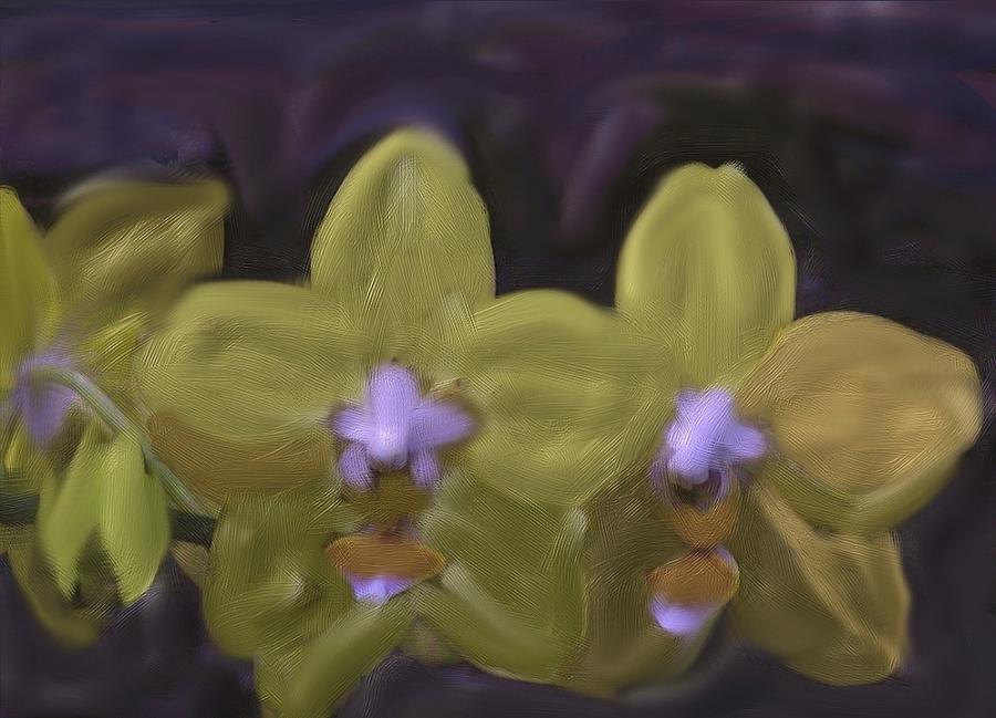 Orchids Golden Digital Art by Alice Terrill