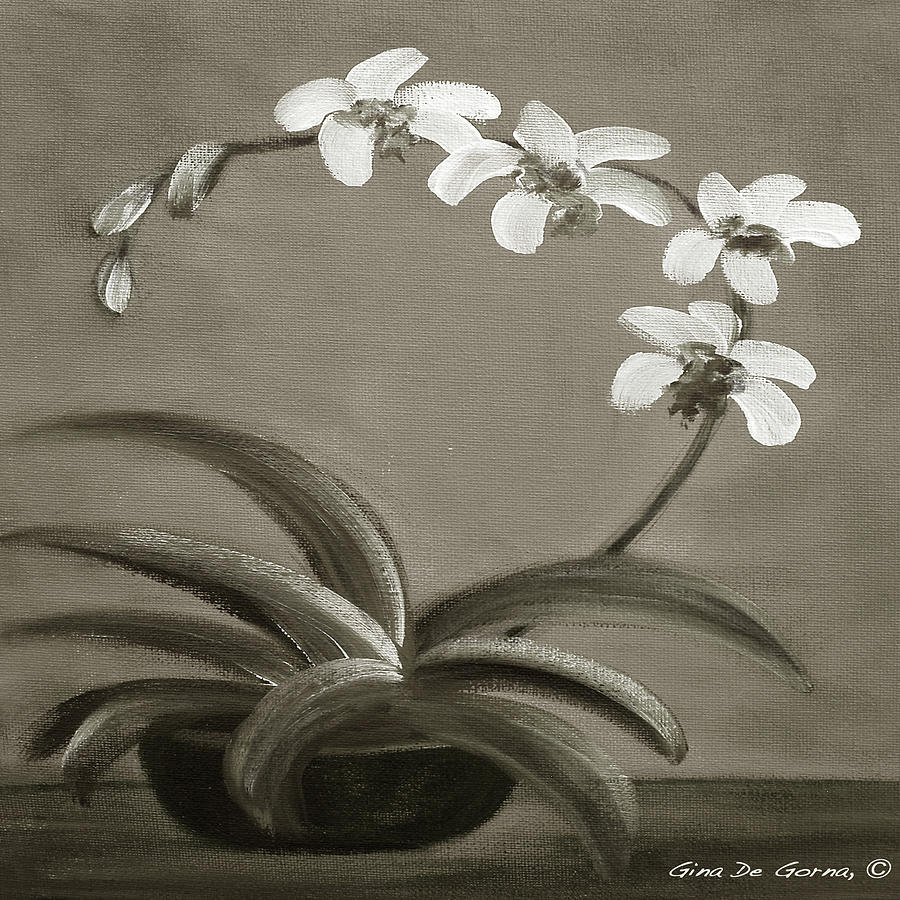 Orchids in Black and White Painting by Gina De Gorna