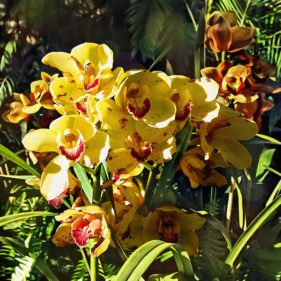 Orchids In Texture Mixed Media by Glenn McCarthy Art and Photography
