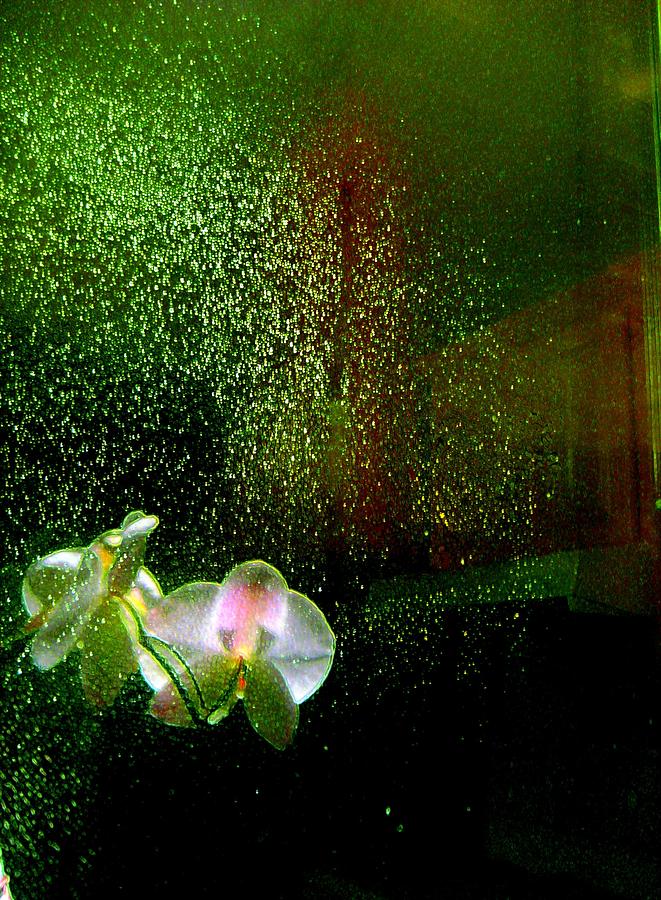 Impressionism Photograph - Orchids in the Rain by Shirley Sirois