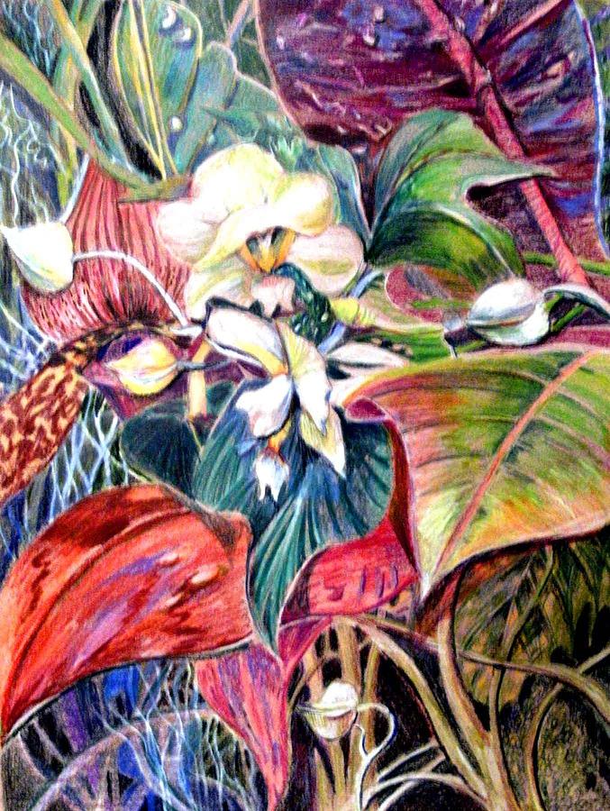 Orchids in White Drawing by Mindy Newman