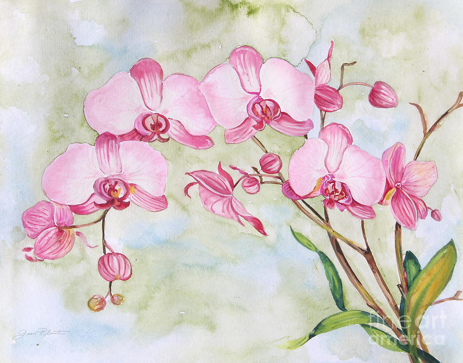 Orchids-JP3881 Painting by Jean Plout