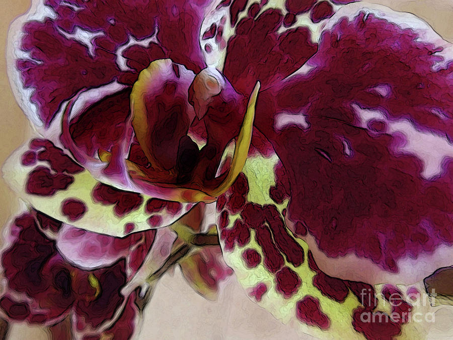 Orchids Love - Red Photograph by Kim Tran