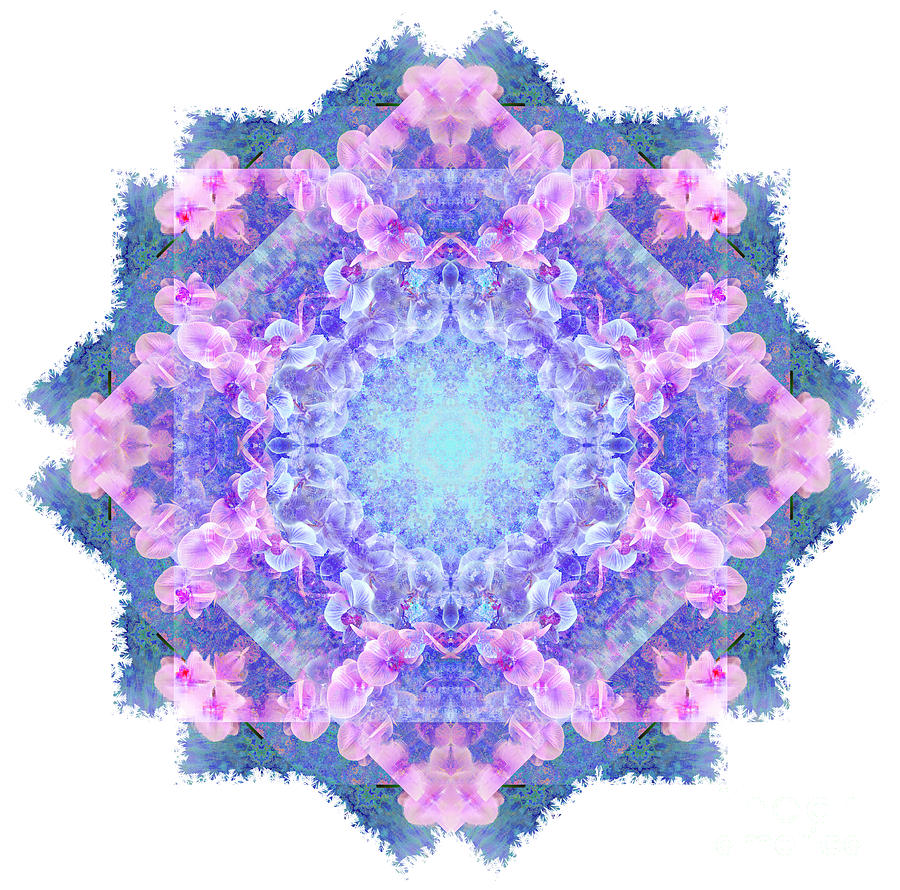 Orchids Mandala by Tracey Everington Orchids Mandala by Tracey Everington