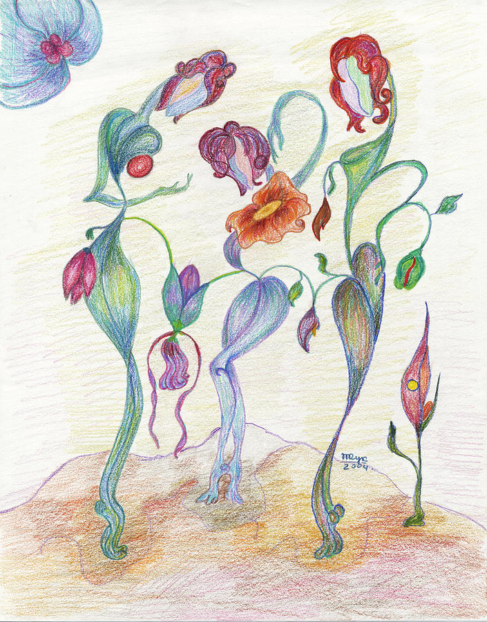 Nature Drawing - Orchids by Mila Ryk