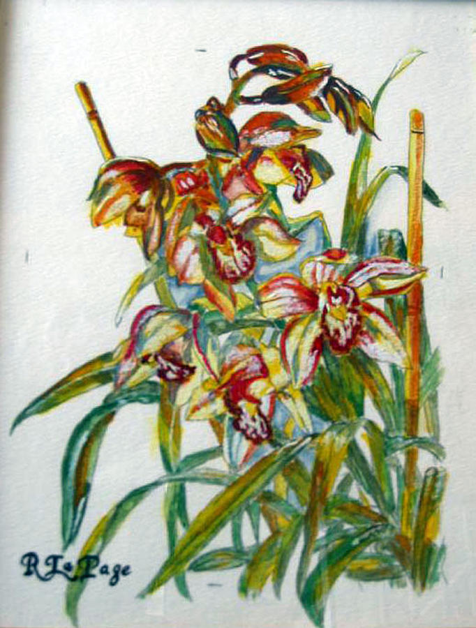 Orchids Painting by Richard Le Page
