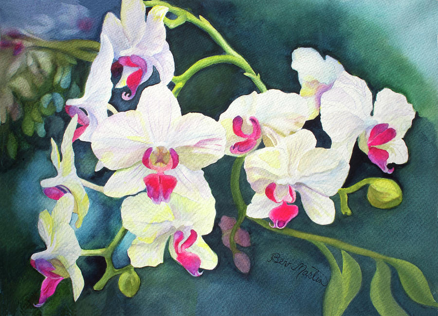 Orchids Spitfire Painting by Beverly Martin - Fine Art America