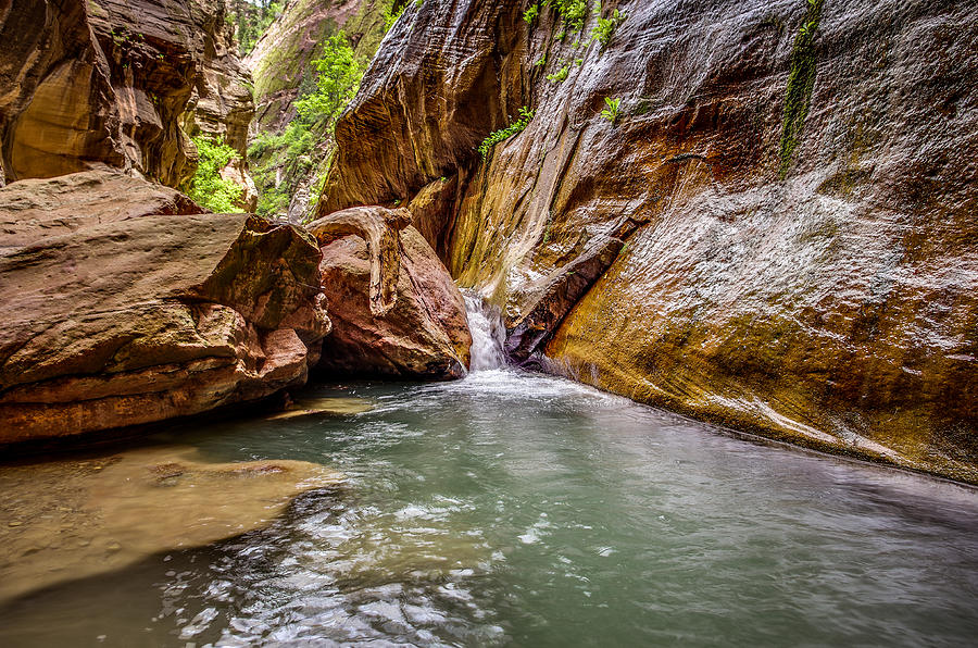 Zion National Park Photograph - Orderville Canyon Waterfall Zion National Park by Scott McGuire