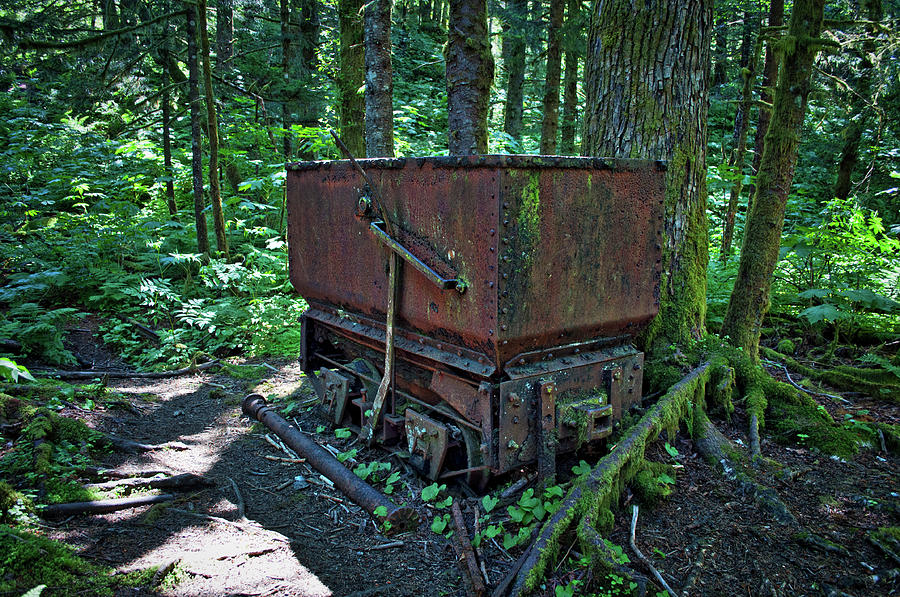 Ore Cart in the Forest Photograph by Cathy Mahnke