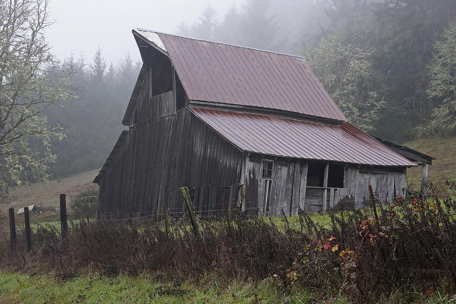 Oregon Barn Photograph by Inge Riis McDonald