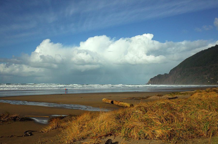 Oregon Beachscape Photograph