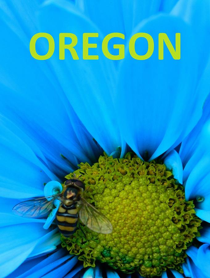 Oregon Bee Photograph by Gallery Of Hope 