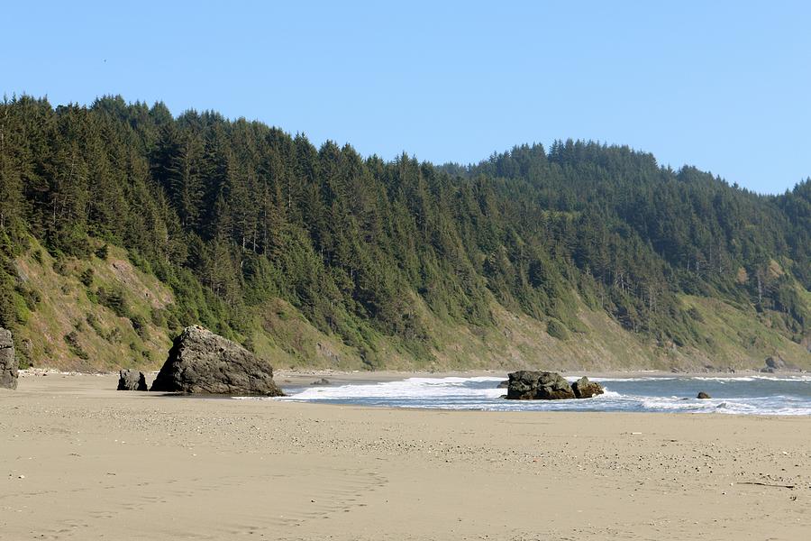 Oregon Coast - 17 Photograph by Christy Pooschke
