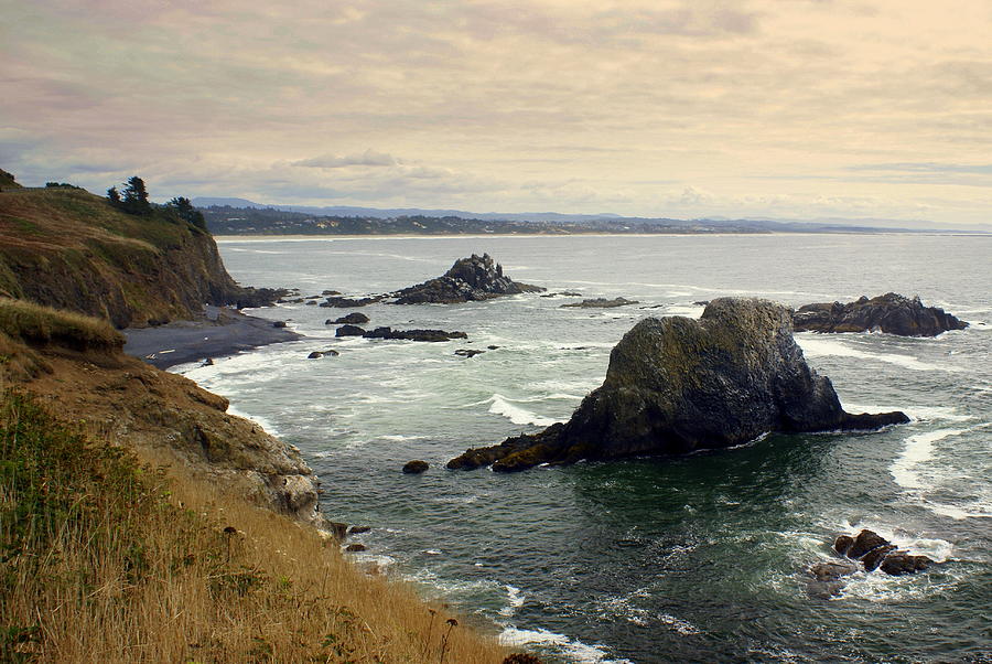 Oregon Coast 17 Photograph by Marty Koch