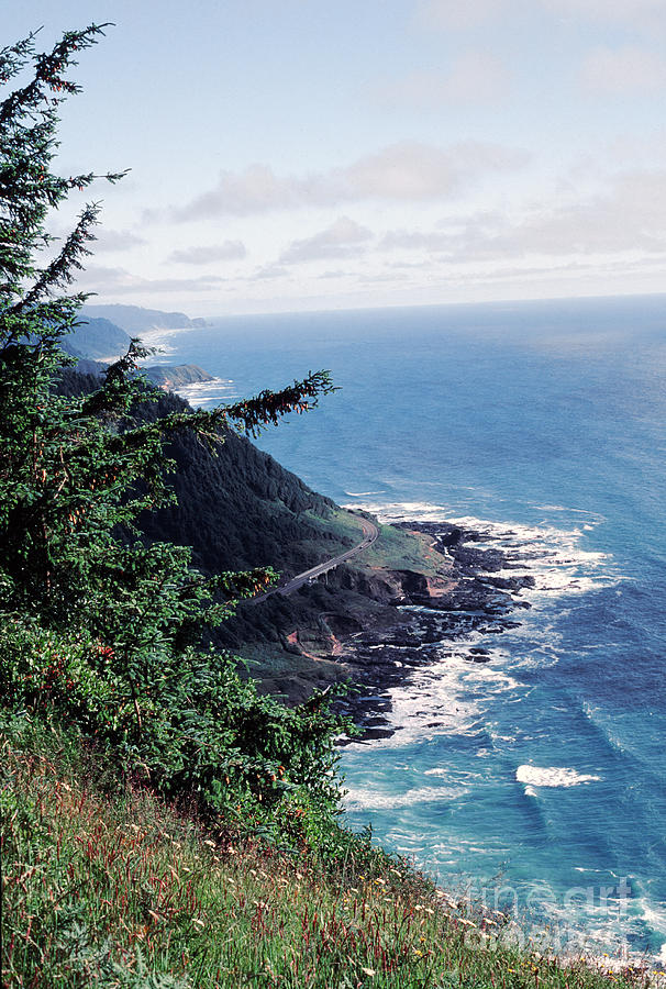 Oregon Coast 2 Photograph by Rex E Ater