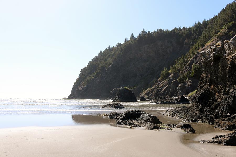 Oregon Coast - 3 Photograph by Christy Pooschke