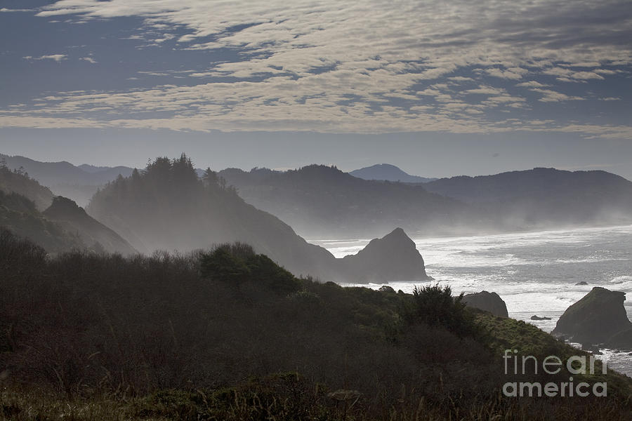 Oregon Coast #4 Photograph by Timothy Johnson