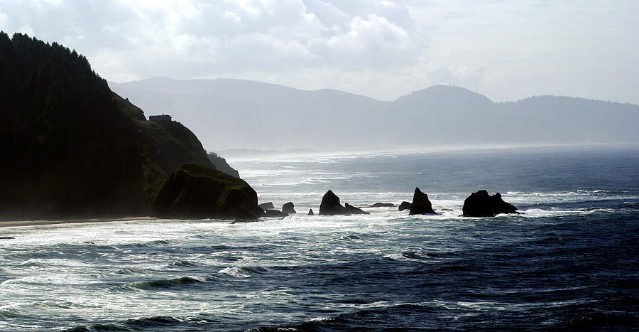 Oregon Coast 5 Photograph by Marty Koch