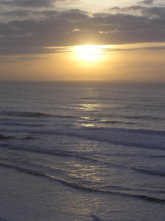 Oregon Coast-621 Photograph by Dan Sebring - Fine Art America