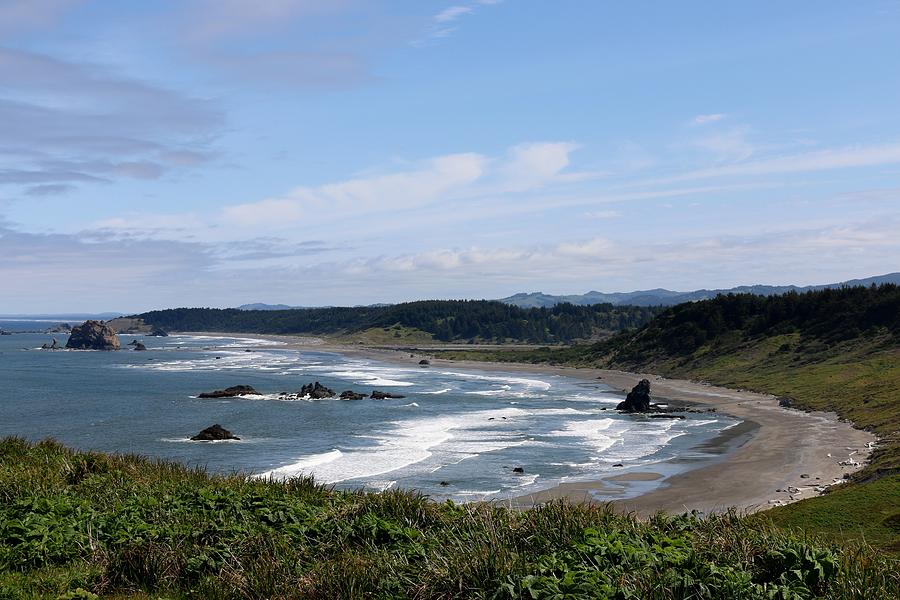 Oregon Coast - 65 Photograph by Christy Pooschke