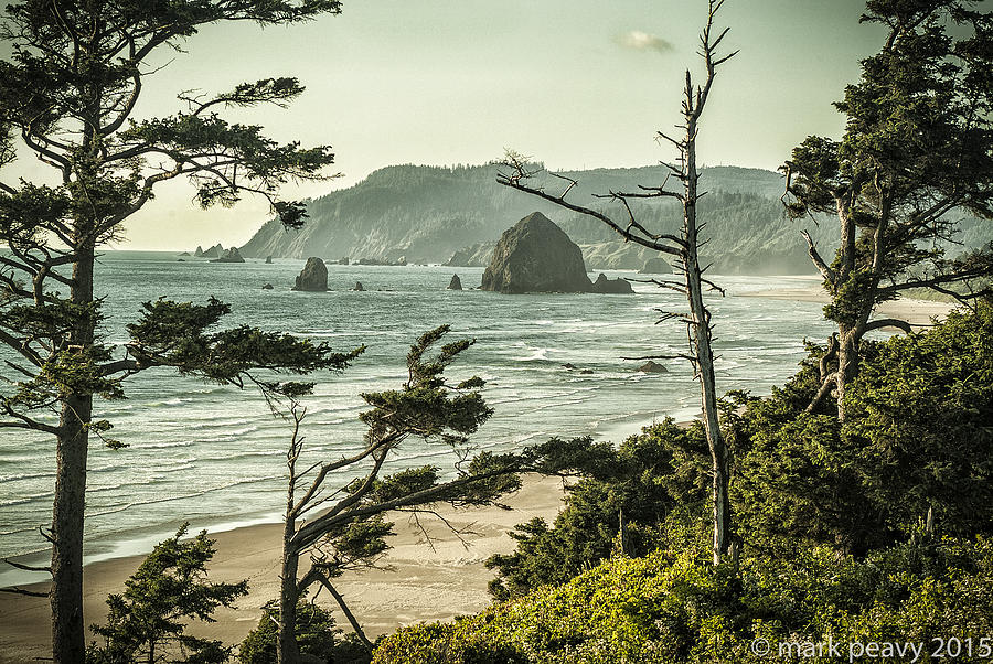 Oregon Coast at Sunset Photograph by Mark Peavy