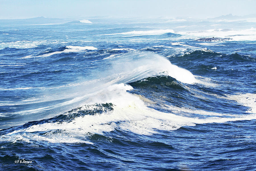 Oregon Coast Blue Waves Digital Art by Tom Janca