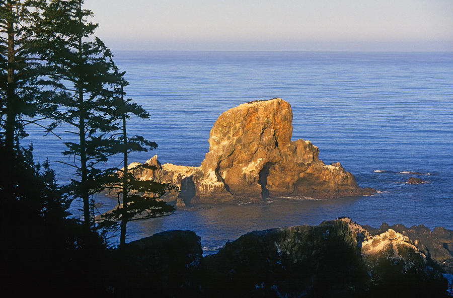 Oregon Coast Photograph by Buddy Mays