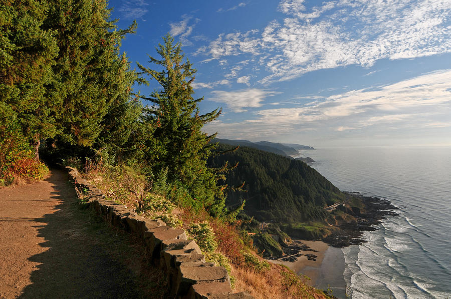 Oregon Coast Cape Perpetua View Photograph by Lara Ellis