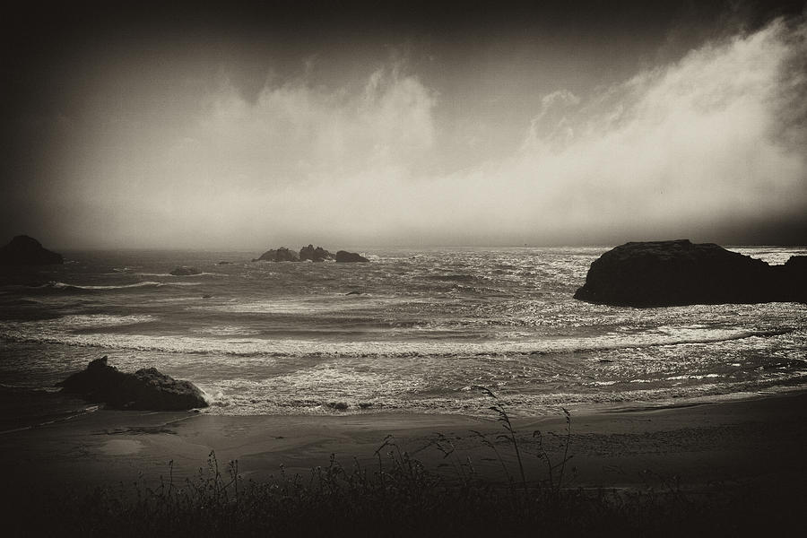 Oregon Coast Photograph by Hugh Smith