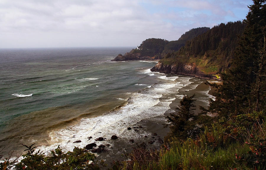 Oregon Coast Photograph by Joanne Coyle