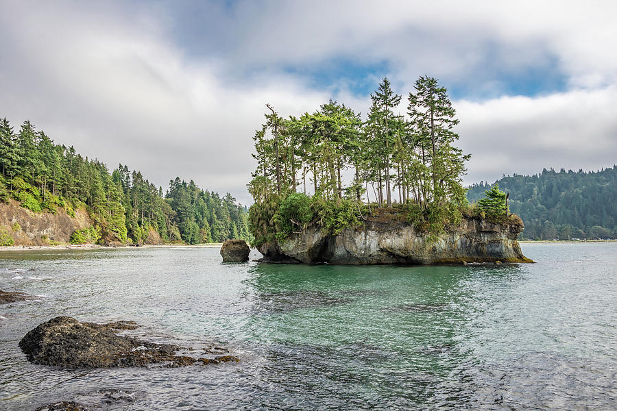 Tree Photograph - Oregon Coast by Lindy Grasser