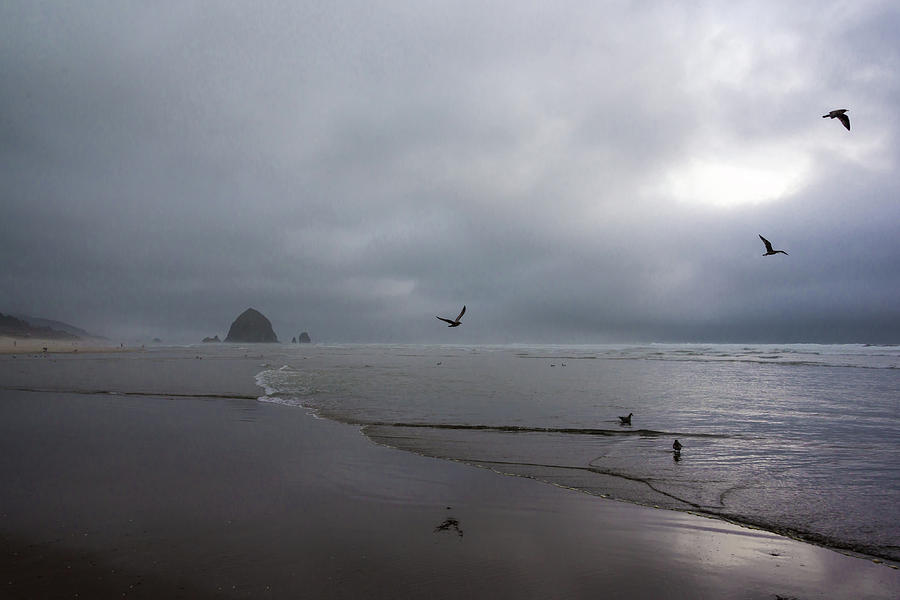 Oregon Coast Photograph by Robert McKay Jones