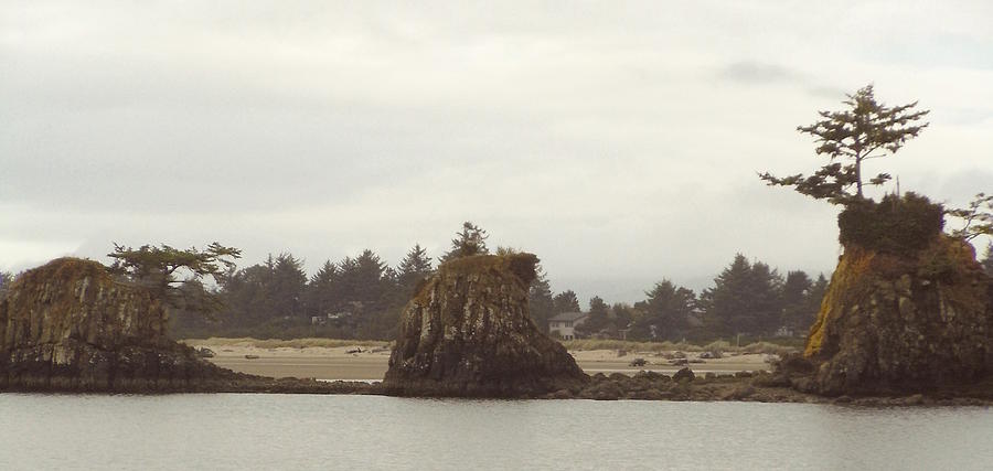 Oregon Coast Rock and Tree Photograph by James Adger
