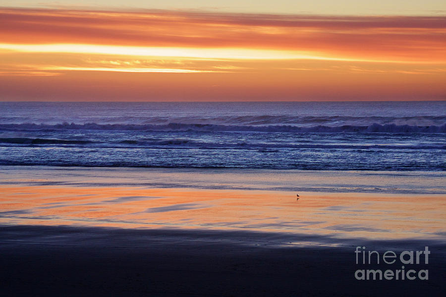 Oregon Coast Sunset Photograph by Bruce Block Oregon Coast Sunset Photograph by Bruce Block