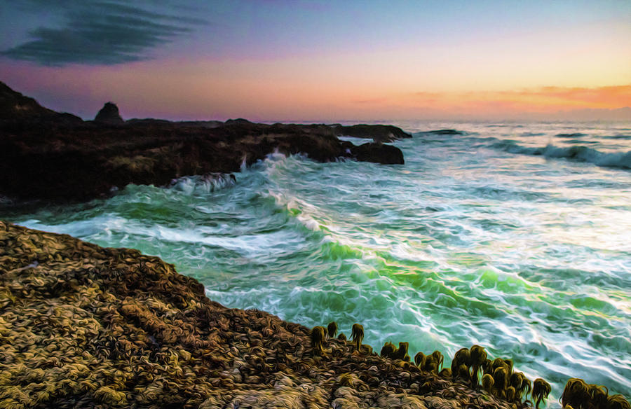 Oregon Coast Sunset Photograph by Joy McAdams - Fine Art America