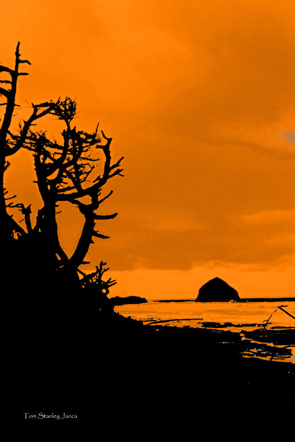Oregon Coast Sunset Photograph by Tom Janca
