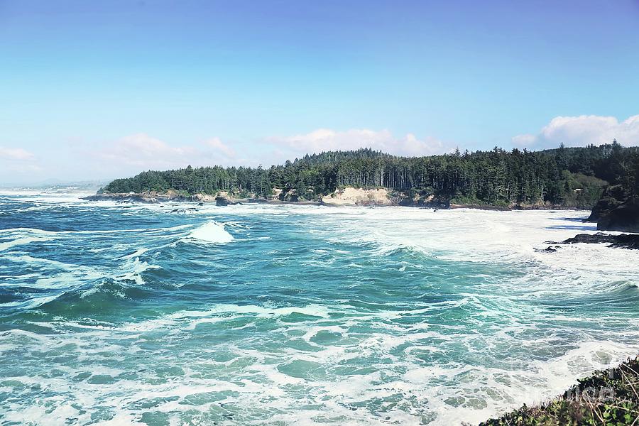 Oregon Coast Photograph by Sylvia Cook