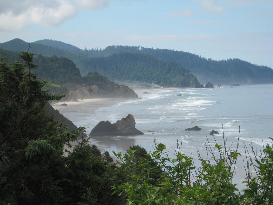 Oregon Coast Photograph by Terri Warner