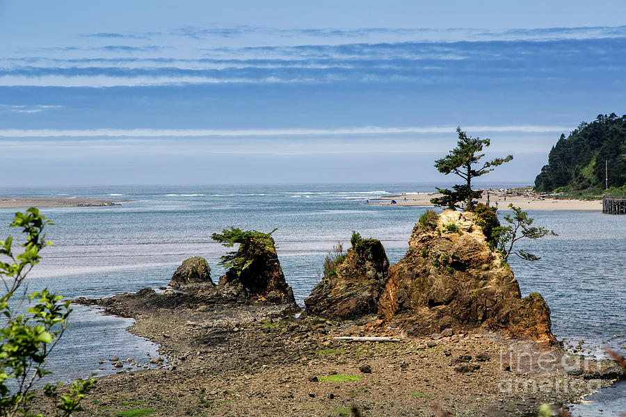 Oregon Coast Photograph by Timothy Hacker