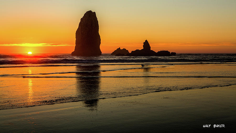 Oregon Coast Photograph by Walt Baker