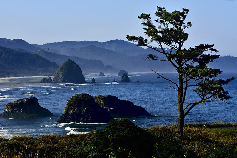 Oregon Coast Photograph by Walt Sterneman
