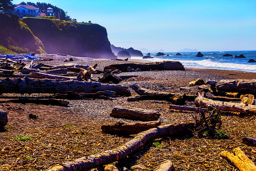 Oregon Coastline Photograph by Garry Gay